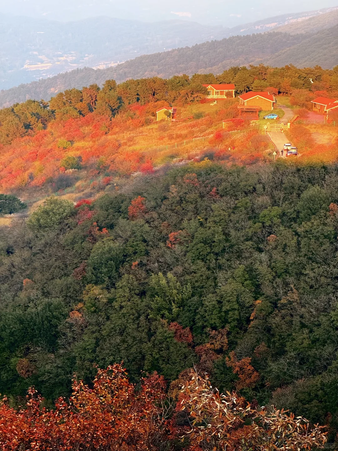 此刻!嵩山已漫山红遍🍁免费赏红叶路线