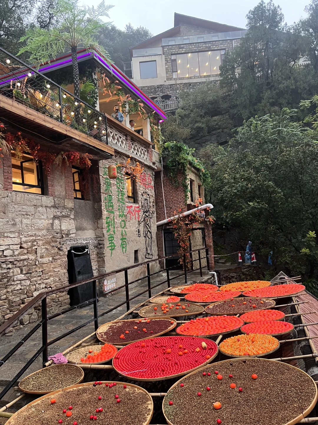 不用远赴婺源，也能get同款晒秋了🍂