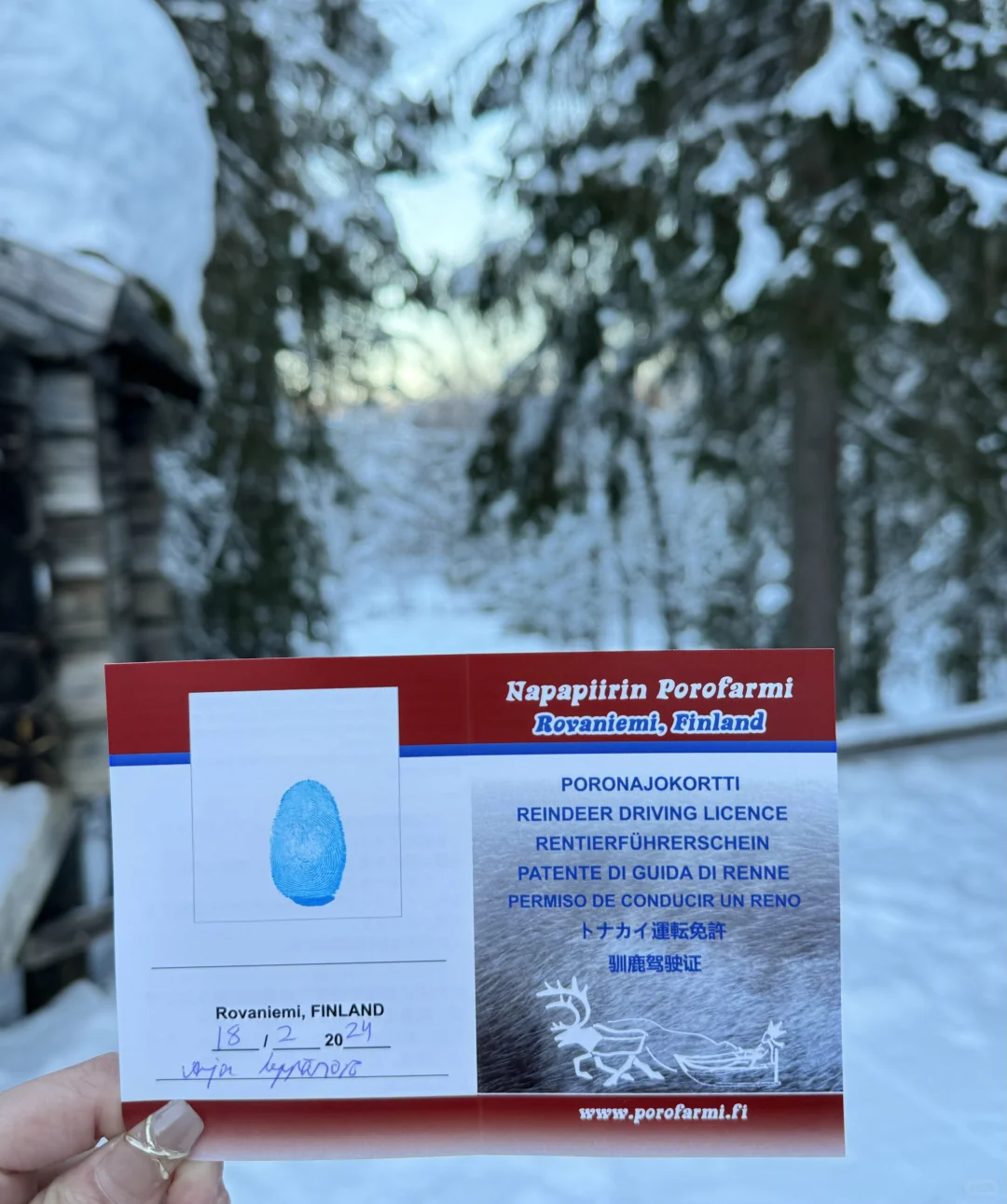 是专属于北欧的livephoto 🥂