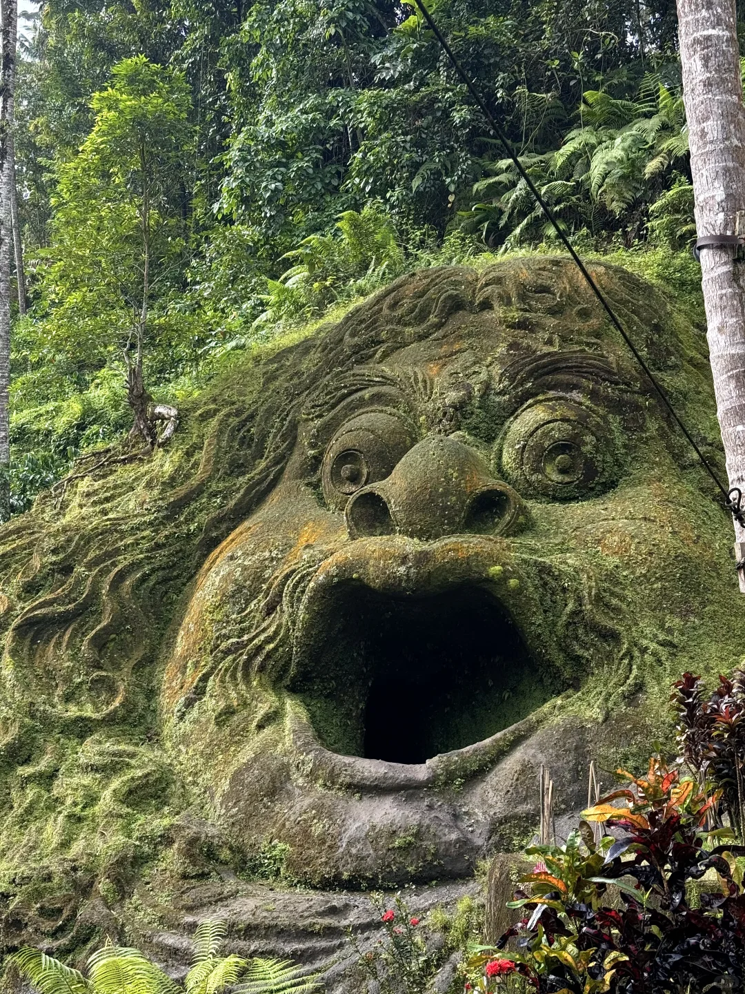 巴厘岛泗水|7天全方位攻略🇮🇩