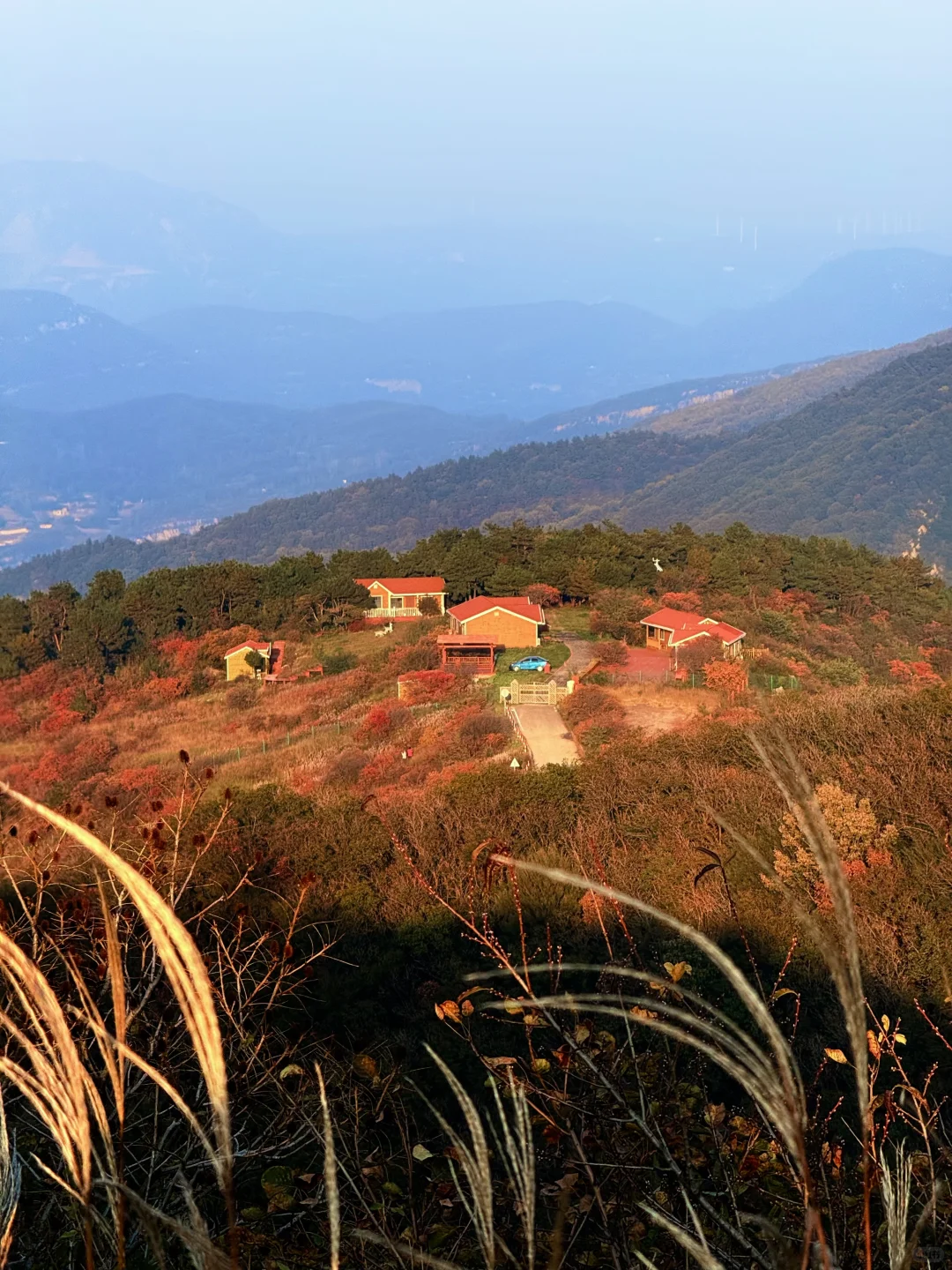此刻!嵩山已漫山红遍🍁免费赏红叶路线
