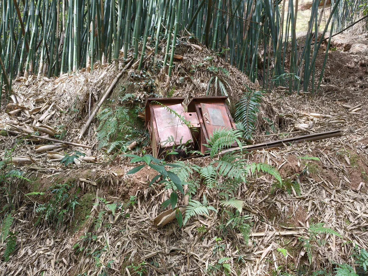 再也没有游客到来…曾经的全国4A级景区