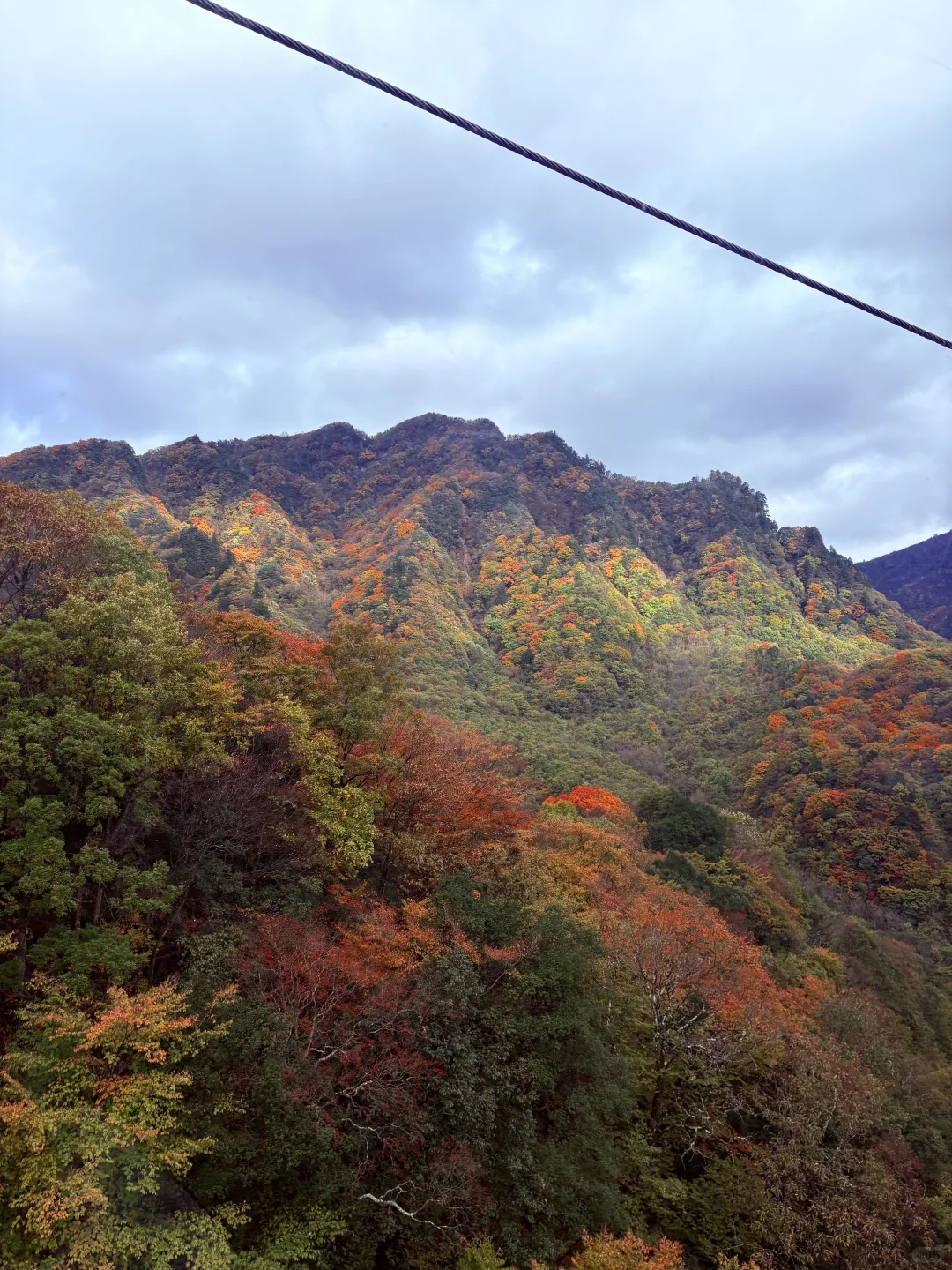 光雾山之米仓山景区攻略(10月27日)