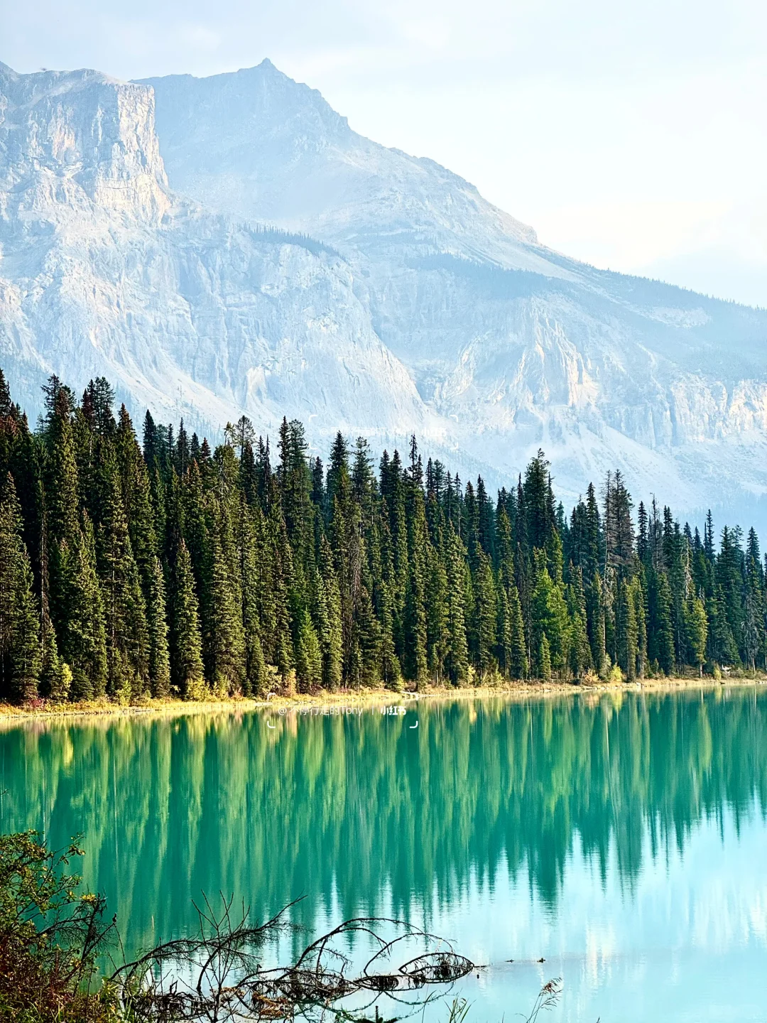 人生建议：去趟秋天的加拿大公路旅游一次🍁