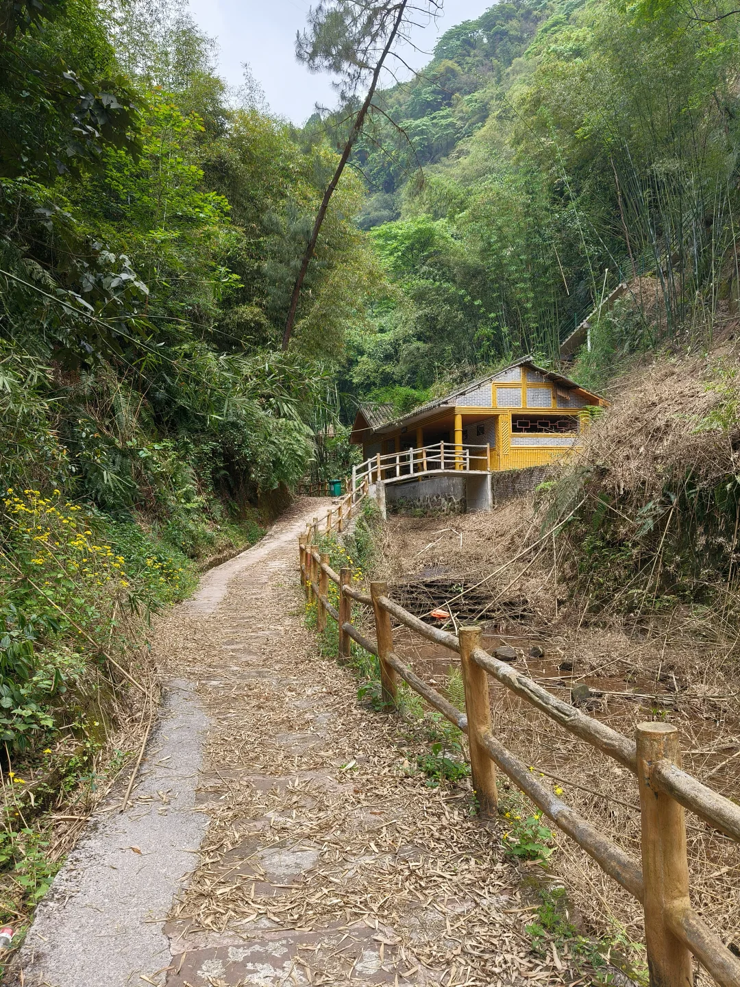 再也没有游客到来…曾经的全国4A级景区