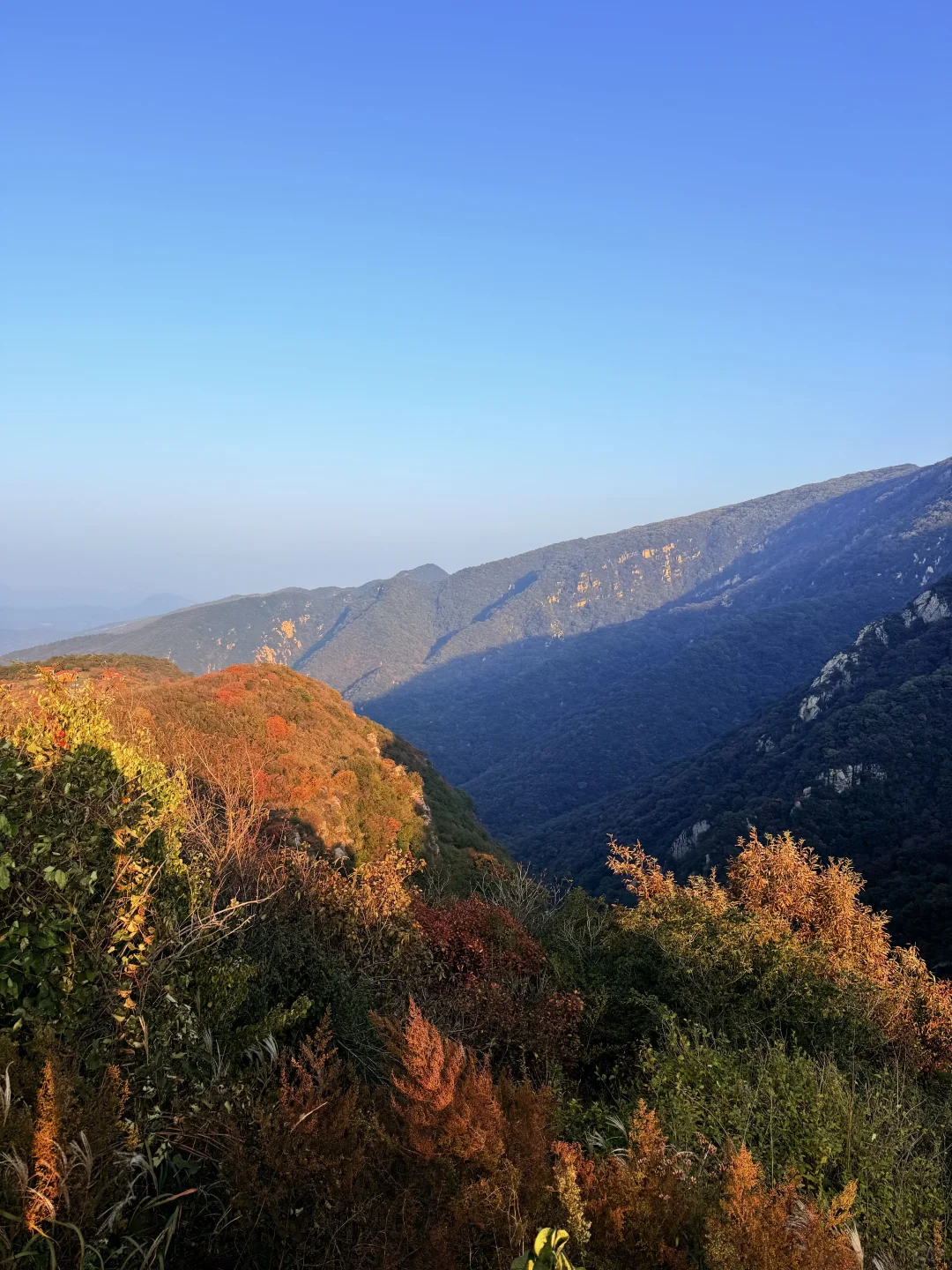 此刻!嵩山已漫山红遍🍁免费赏红叶路线