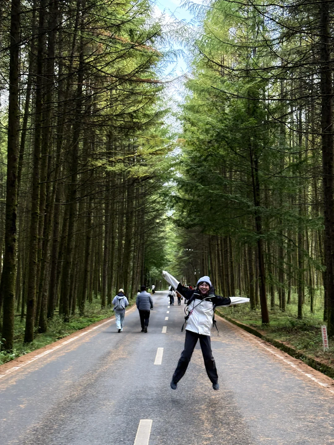 光雾山之米仓山景区攻略(10月27日)