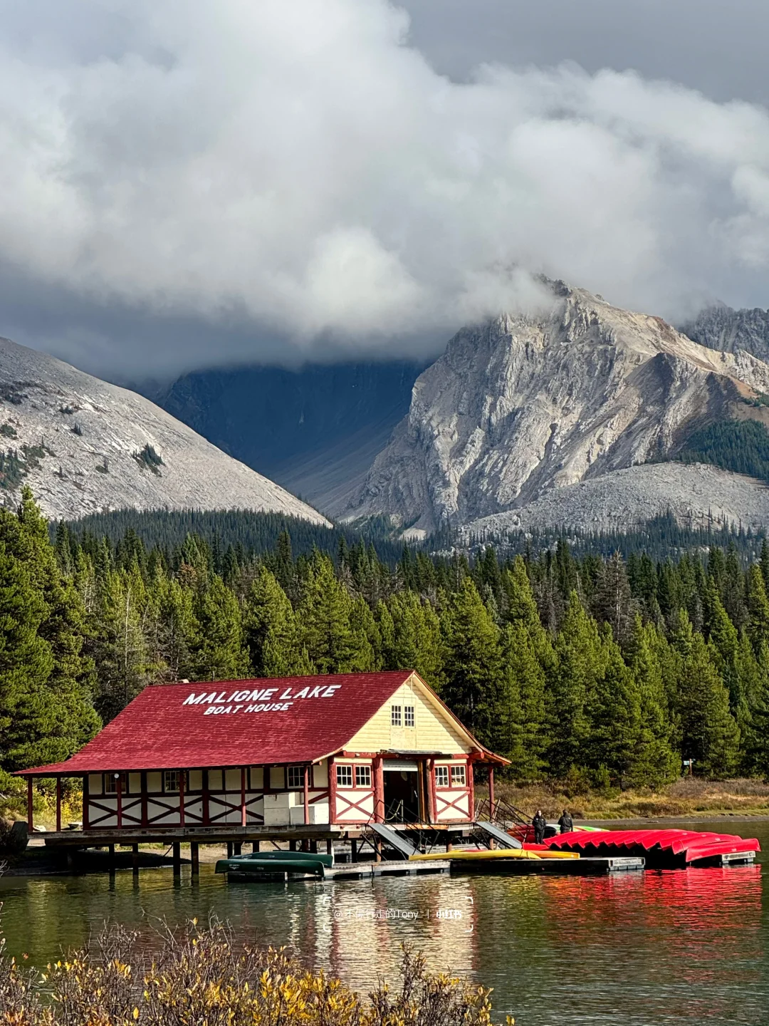 人生建议：去趟秋天的加拿大公路旅游一次🍁