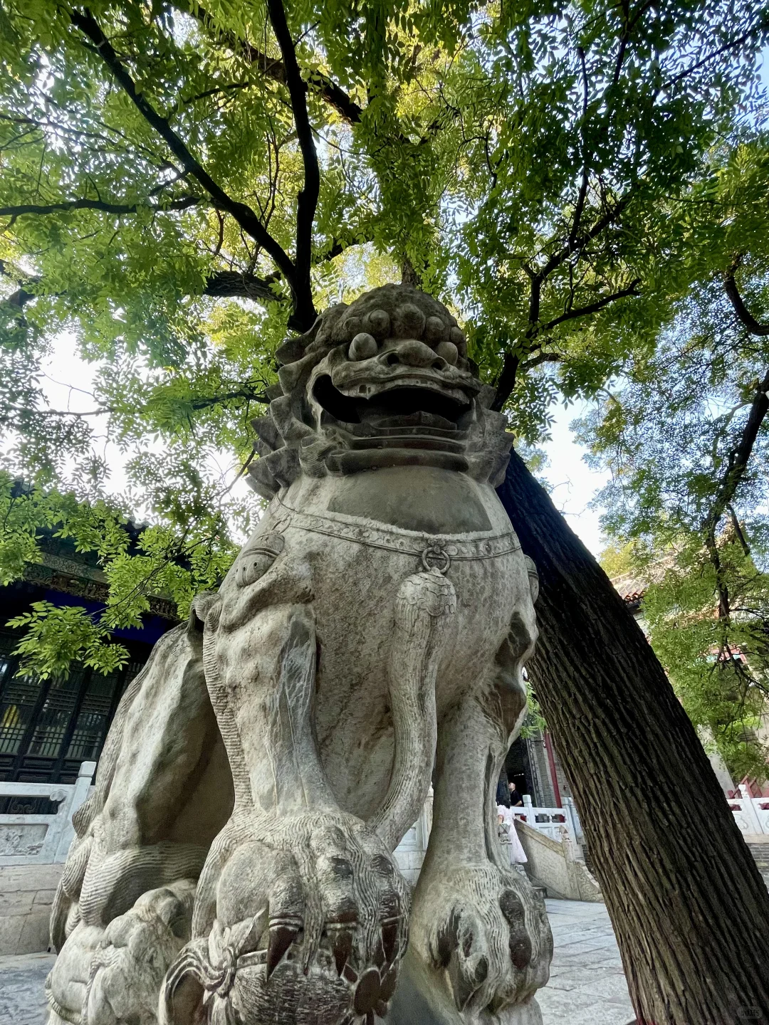 江北水城--聊城