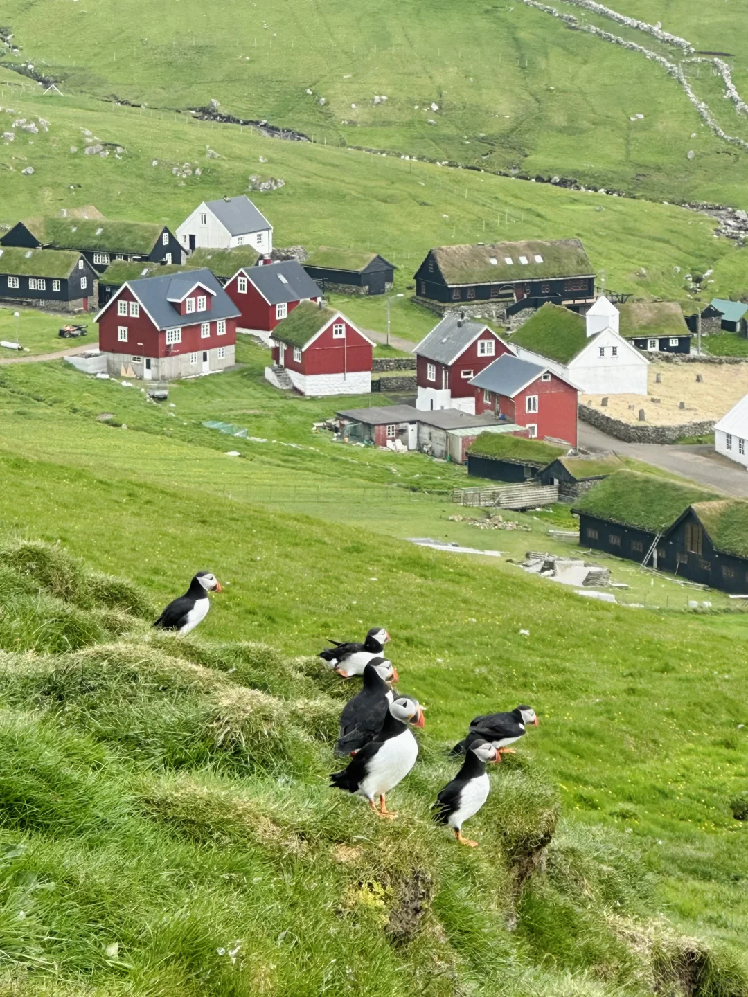 我终于来到世界尽头:法罗群岛❗️附手绘攻略
