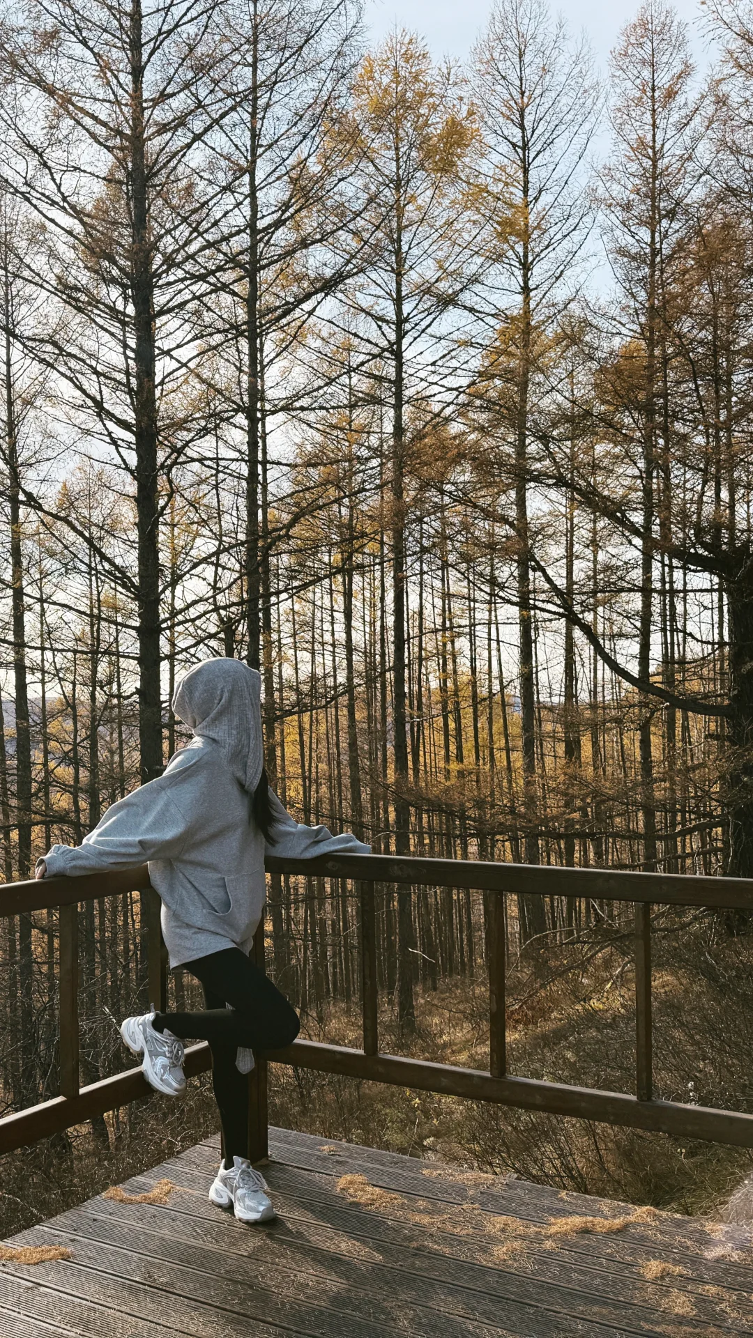 入林💛丨莫尔道嘎国家森林公园★专题篇