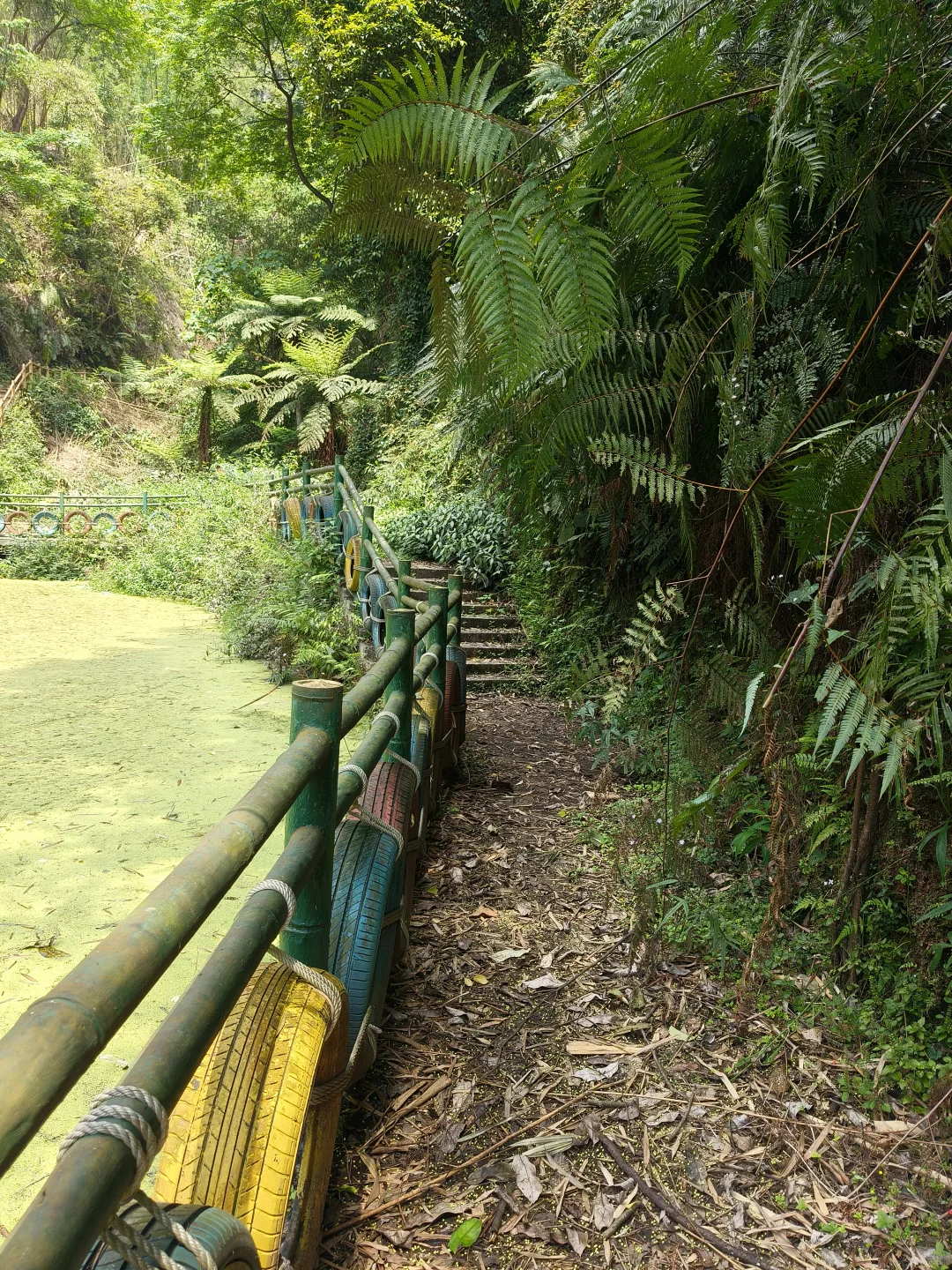 再也没有游客到来…曾经的全国4A级景区