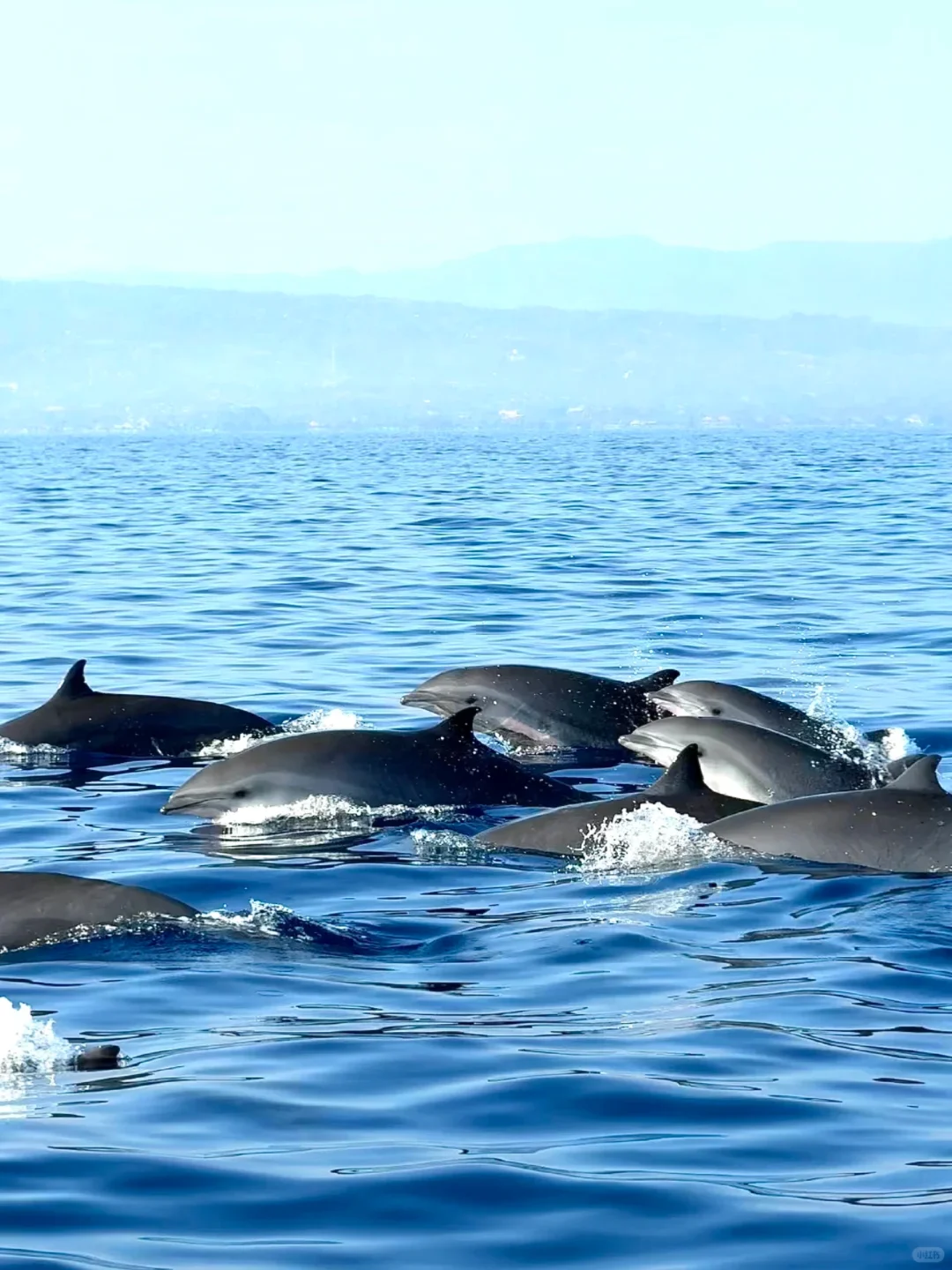 和男友在巴厘岛玩了6天,消费观崩塌了。。