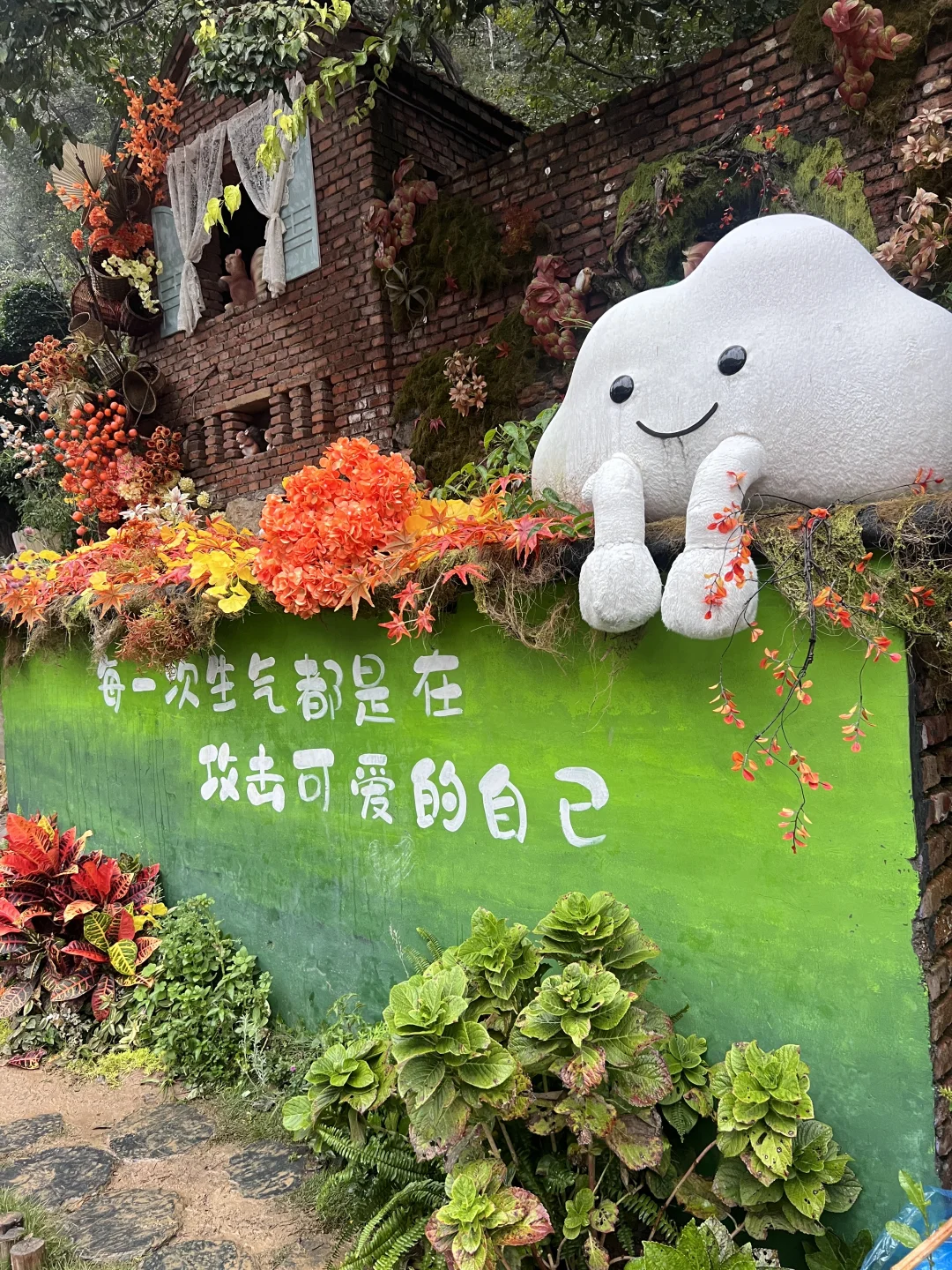 不用远赴婺源，也能get同款晒秋了🍂