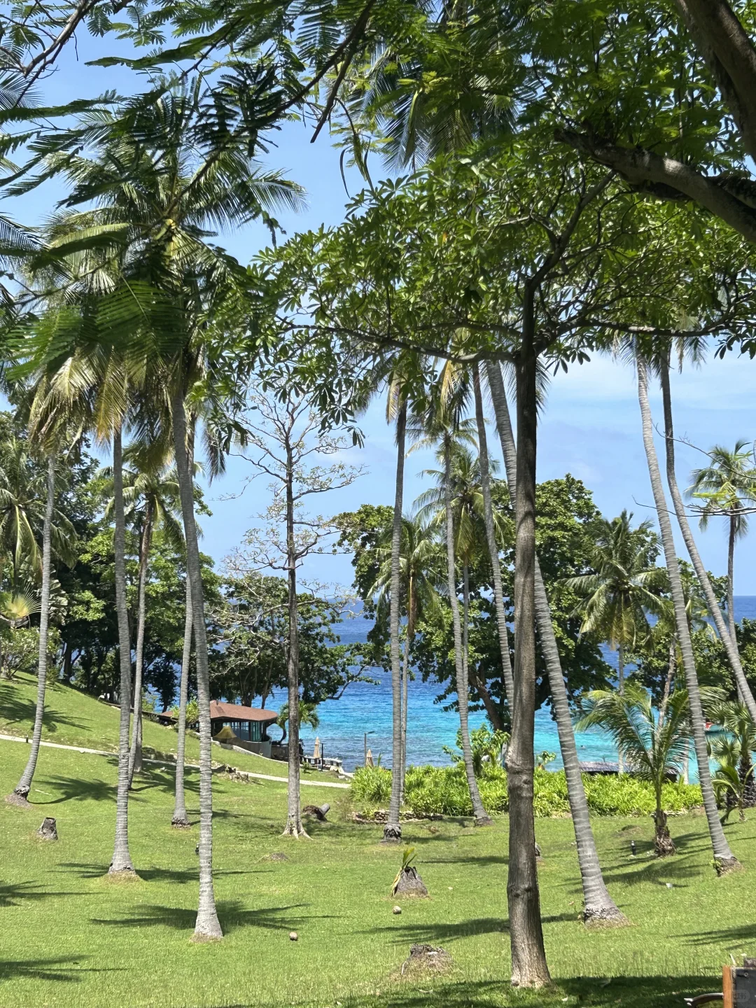 🇹🇭 普吉岛5天躺平度假攻略|纯享版