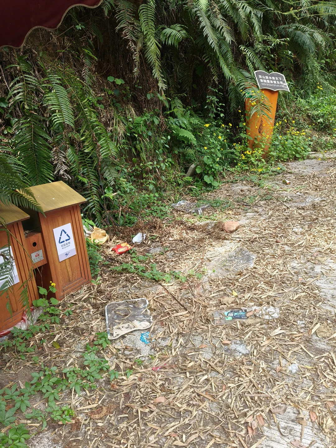 再也没有游客到来…曾经的全国4A级景区