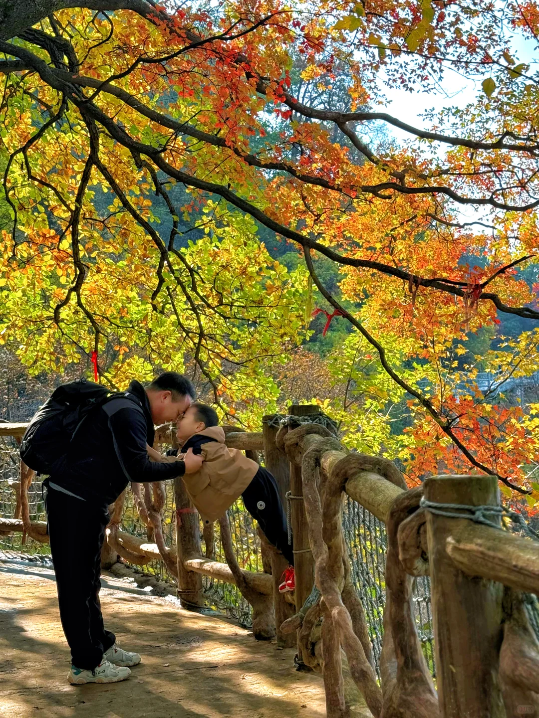 西安🚗1h,带娃去看秋景,黄金瀑布,美翻了