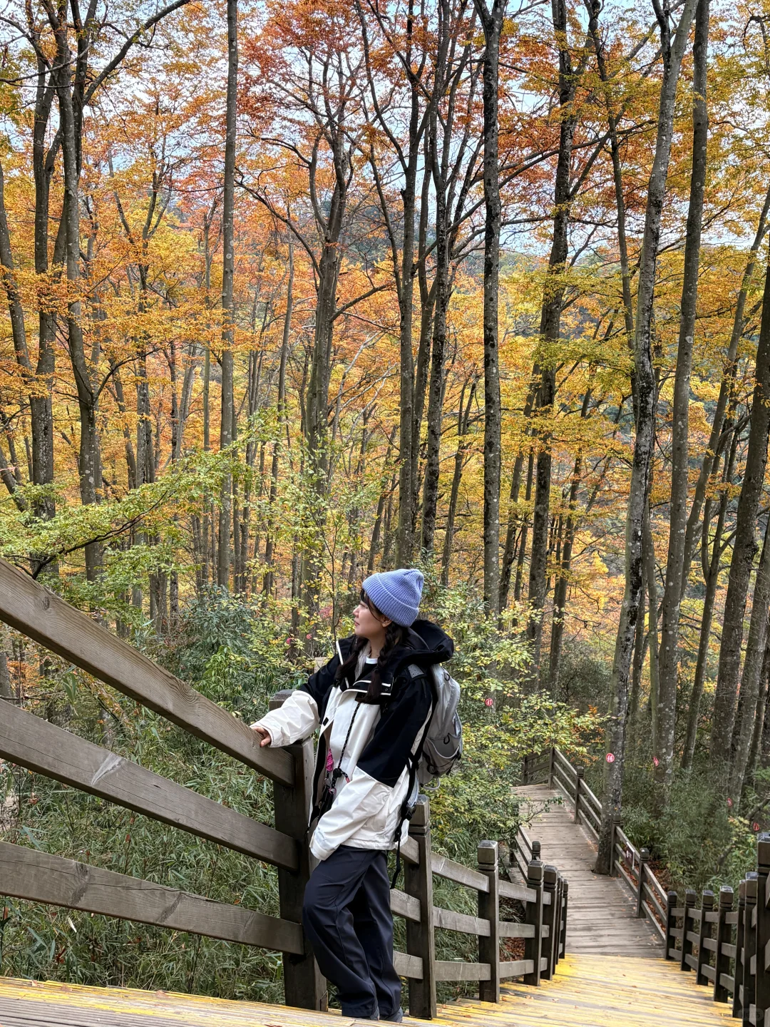 光雾山之米仓山景区攻略(10月27日)