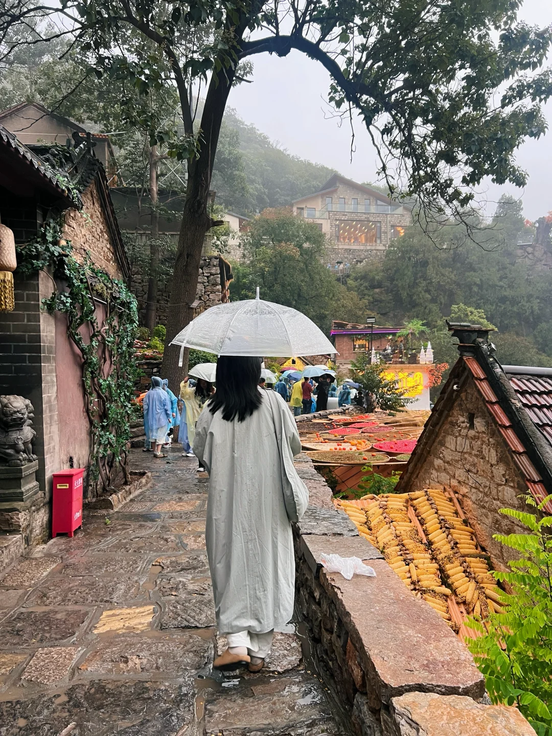 不用远赴婺源，也能get同款晒秋了🍂