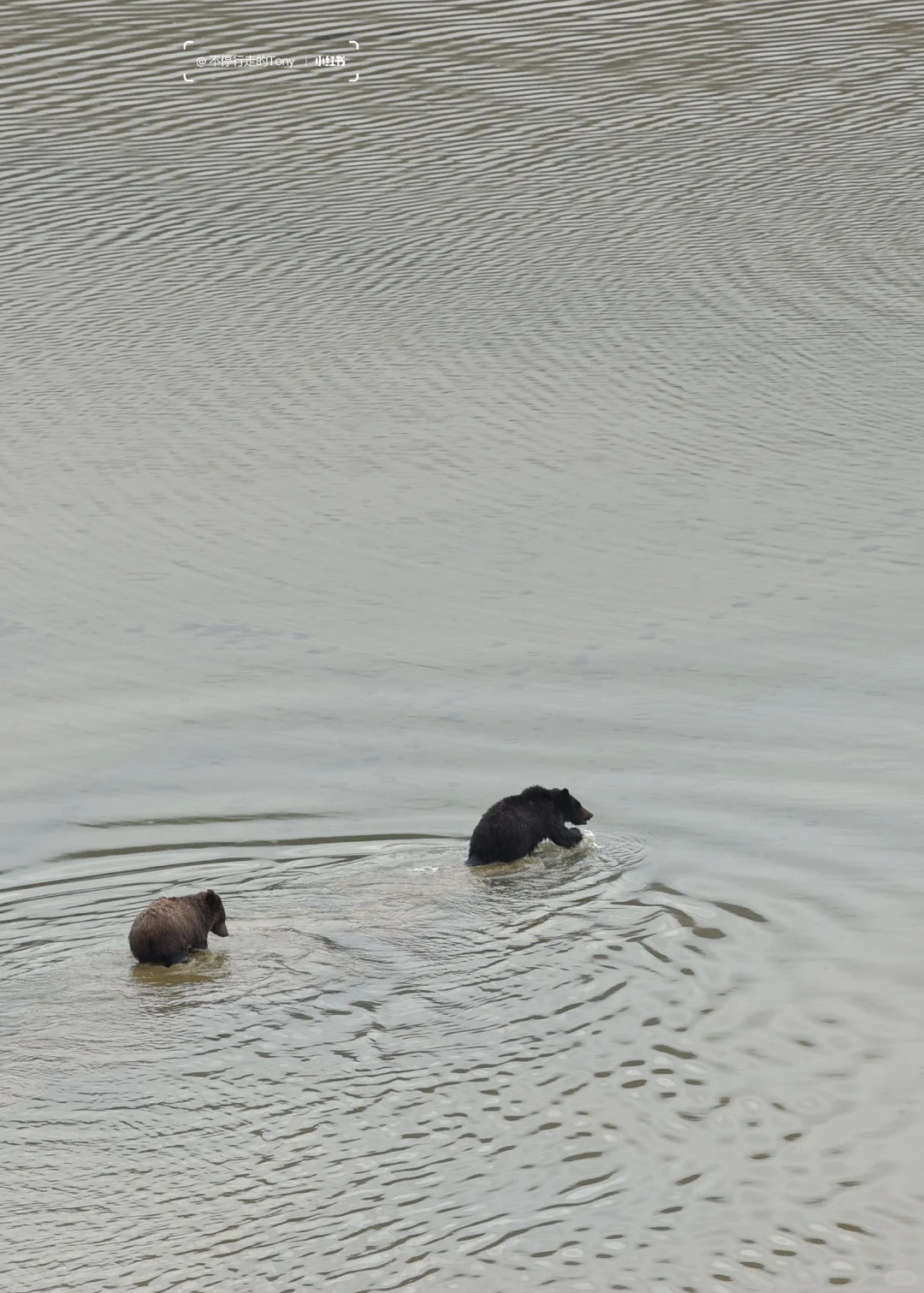 人生建议：去趟秋天的加拿大公路旅游一次🍁