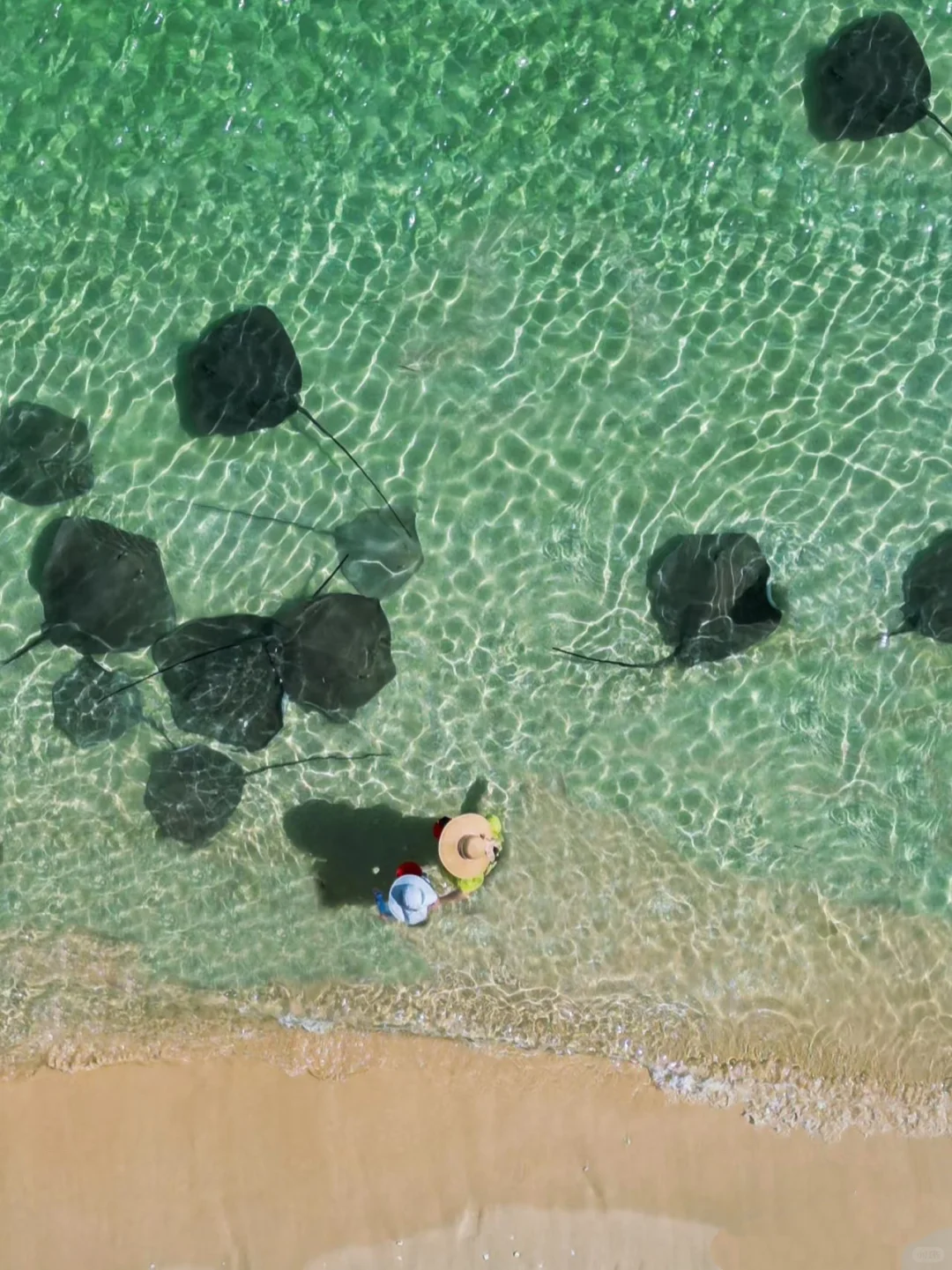 放弃三亚吧,这里才是暑期遛娃天花板🌊