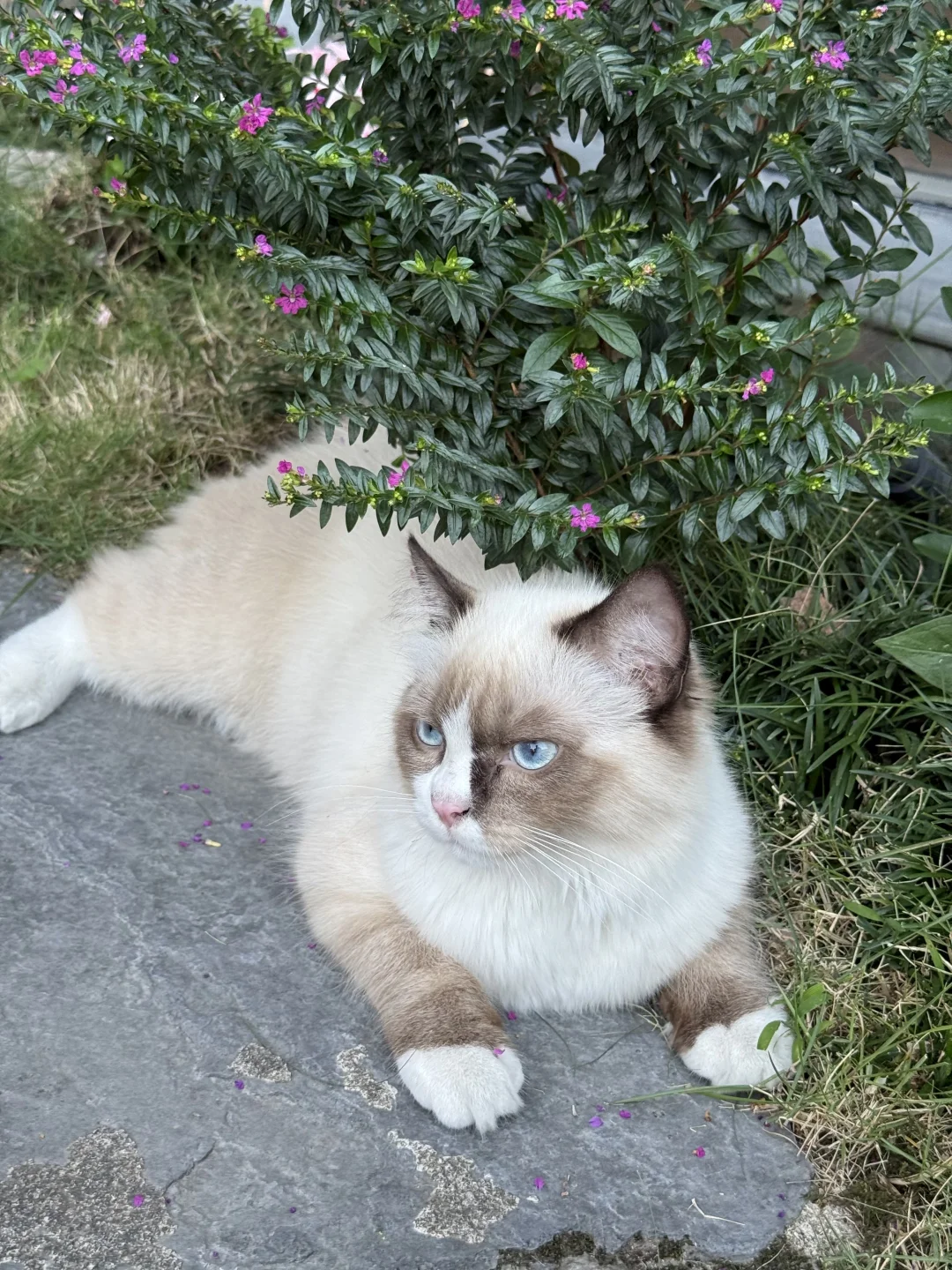 不愧是李白、陶渊明严选的徽州古村落❗️