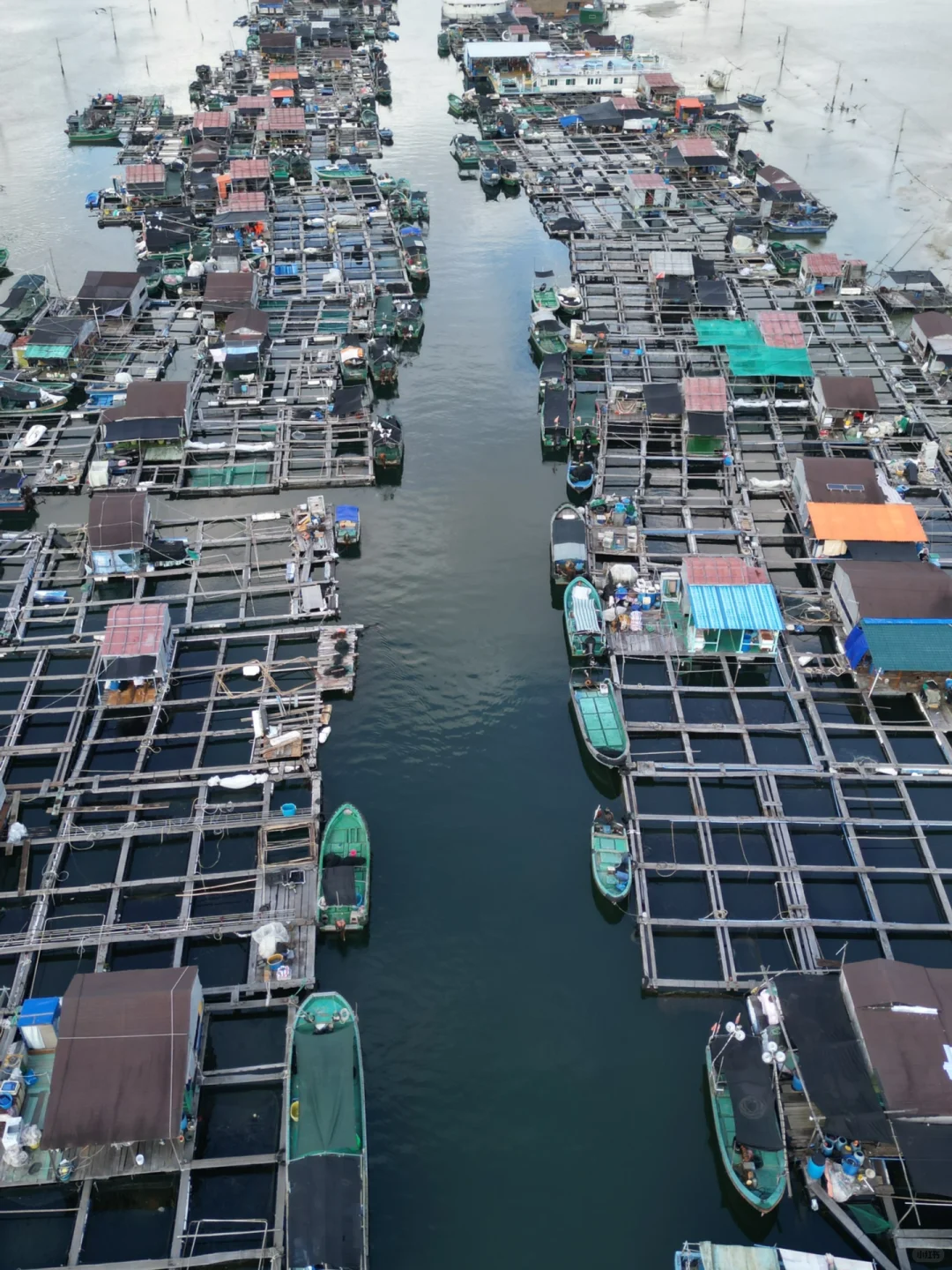 放弃三亚吧,这里才是暑期遛娃天花板🌊