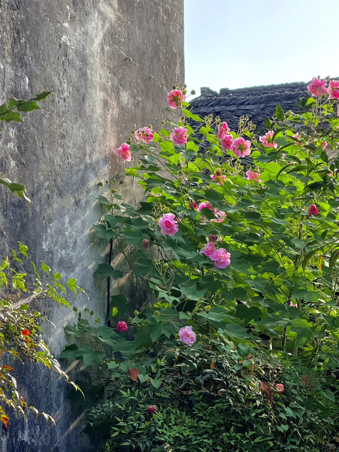 不愧是李白、陶渊明严选的徽州古村落❗️