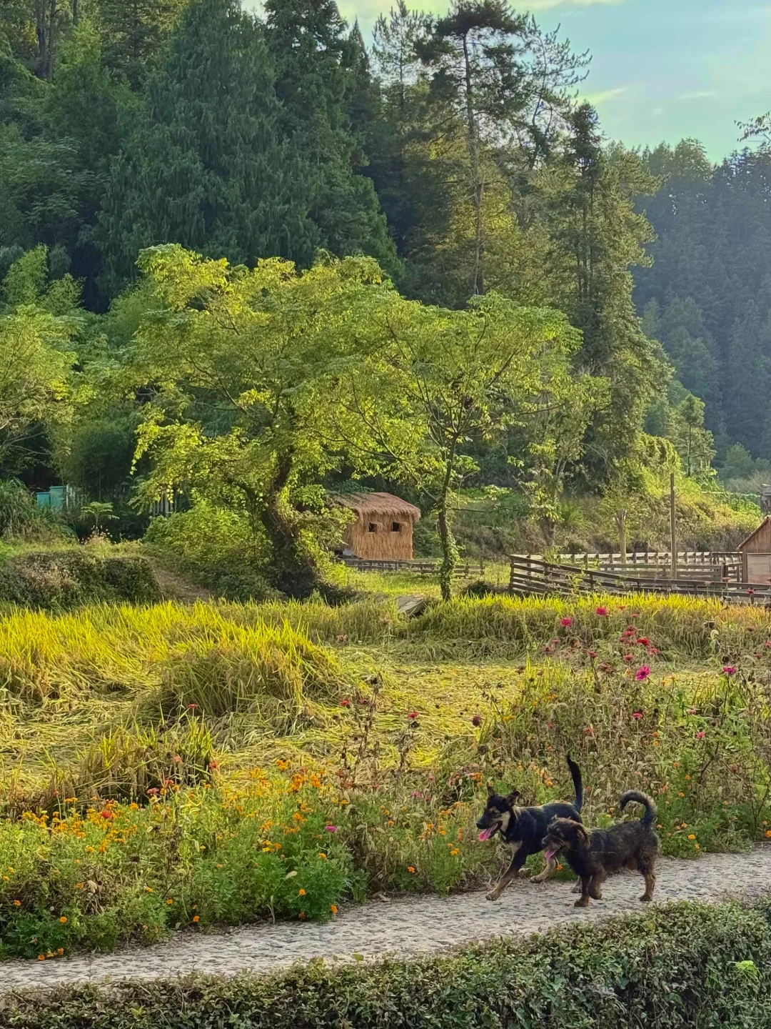不愧是李白、陶渊明严选的徽州古村落❗️