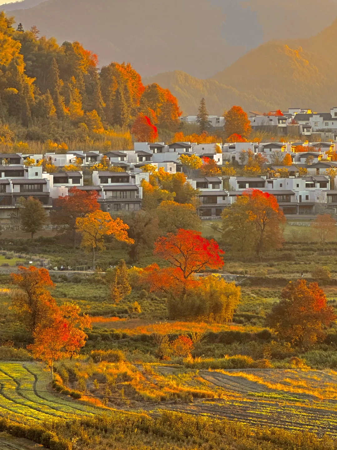 不愧是李白、陶渊明严选的徽州古村落❗️