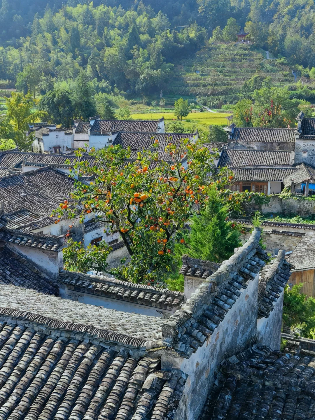 不愧是李白、陶渊明严选的徽州古村落❗️