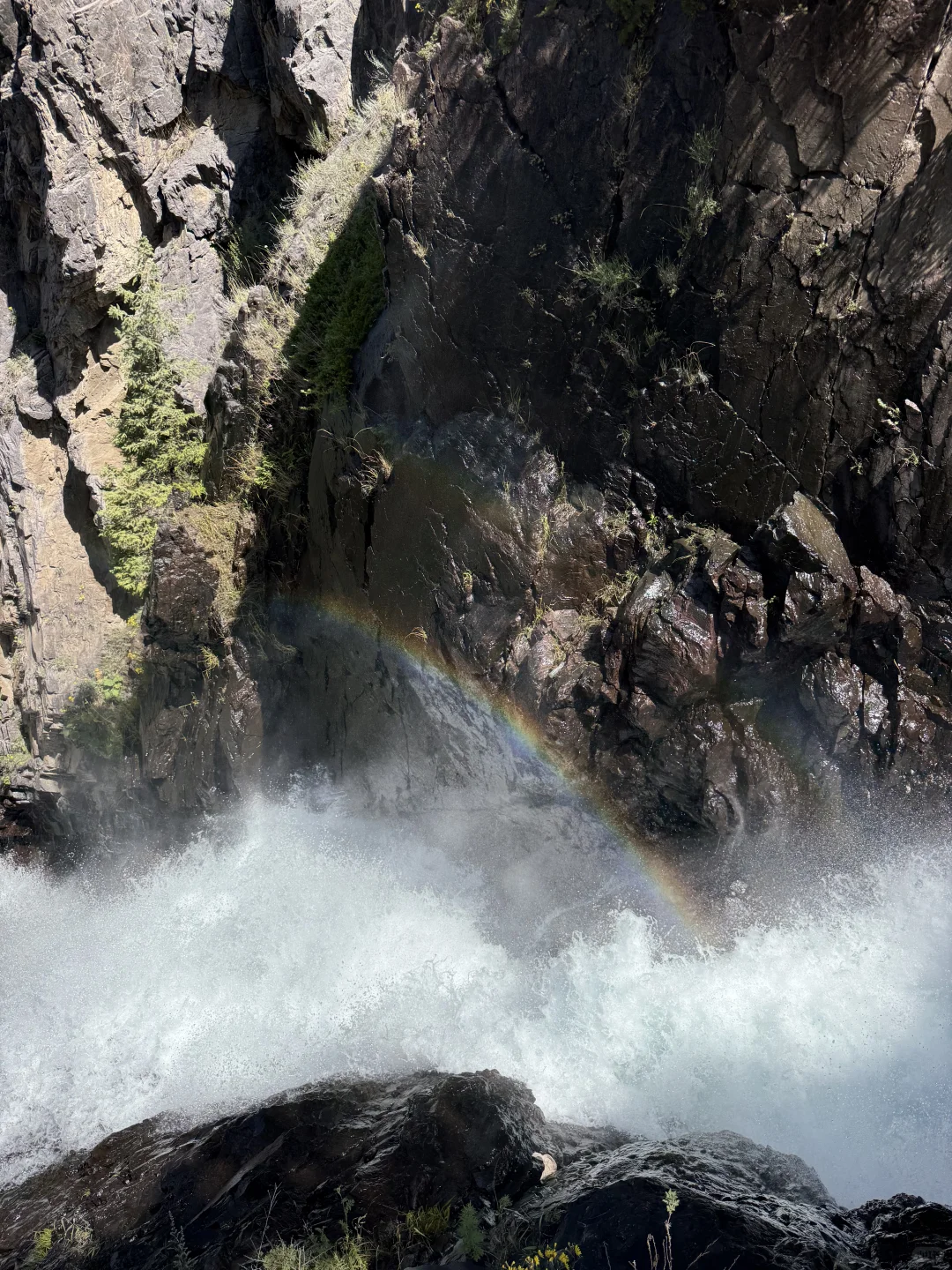 新疆旅行|天山天池懒人版两小时速玩攻略