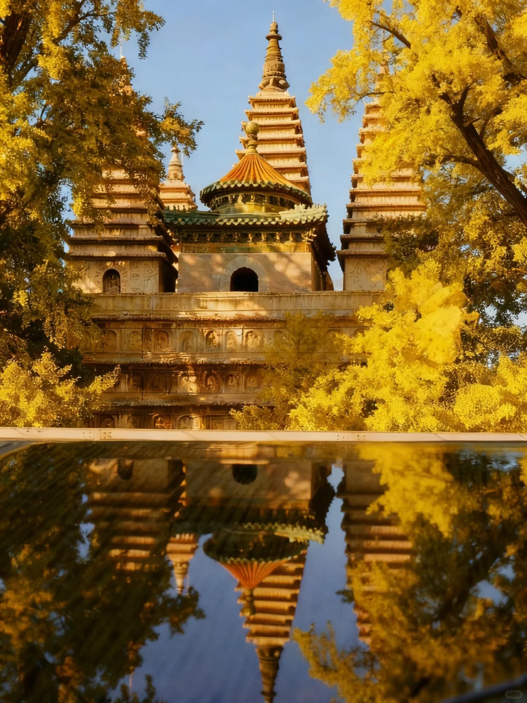 于是我驻足🍂享受无法复刻的瞬间(附攻略