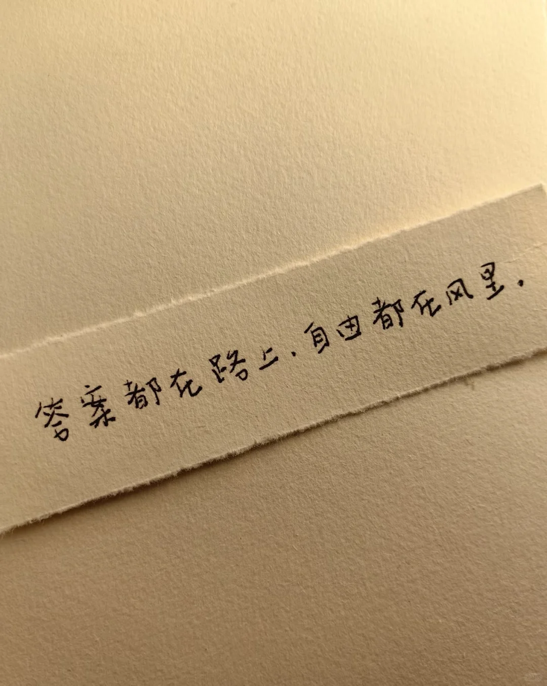 云南旅游攻略之丽江旅游攻略