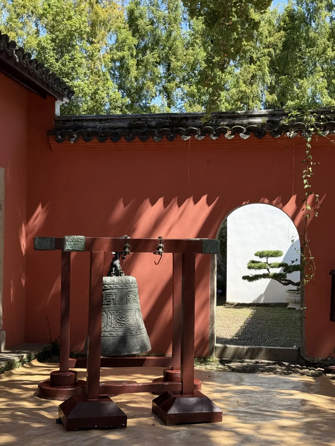 衢州,一个被低估的宝藏江南古城❗️