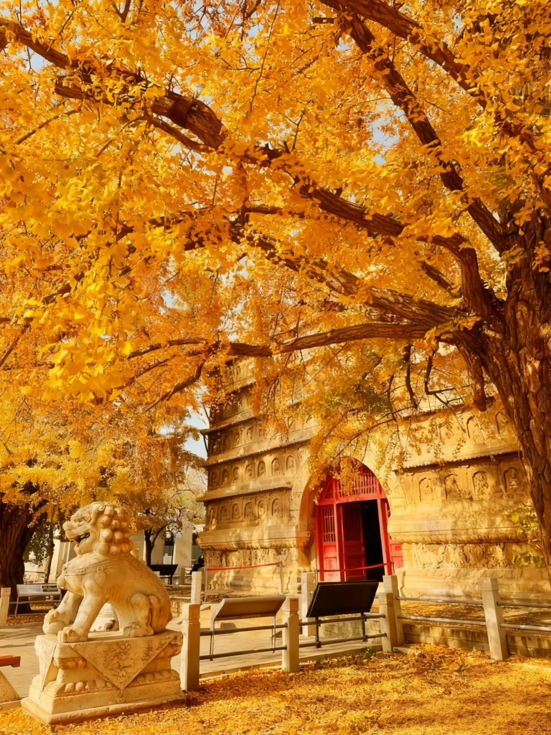 于是我驻足🍂享受无法复刻的瞬间(附攻略