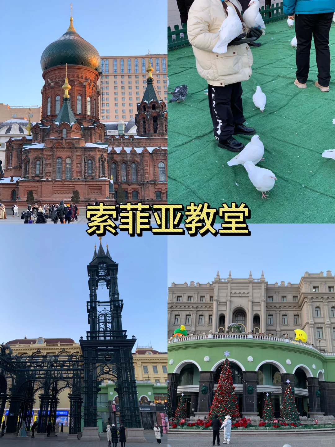 哈尔滨三天两晚!!人均500💰保姆级超全攻略