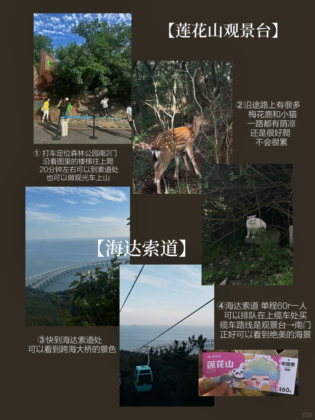 :在大连 三天两夜旅行攻略(吃住行超详细版