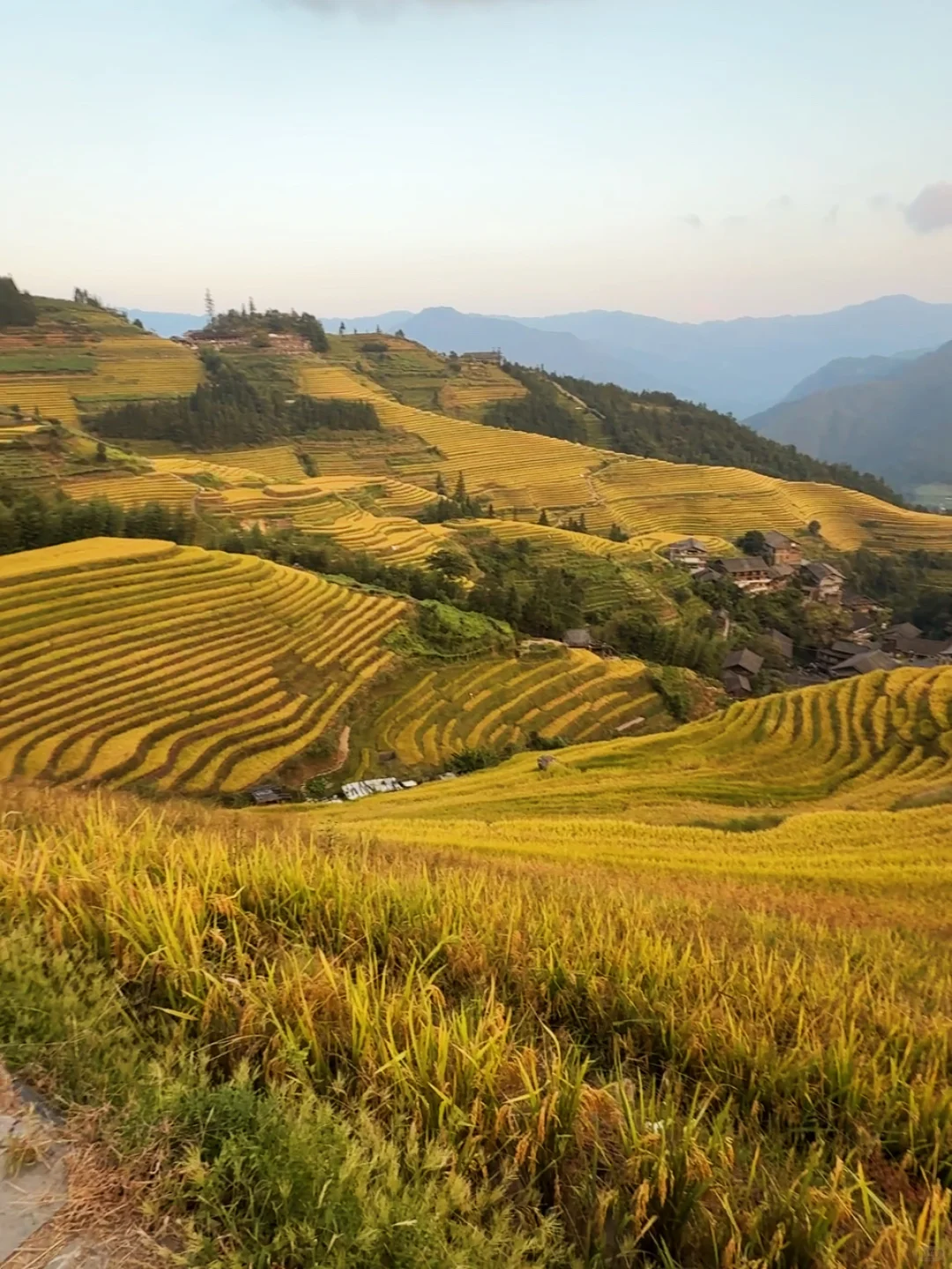 你一句甲天下，我就来了真桂林🎉