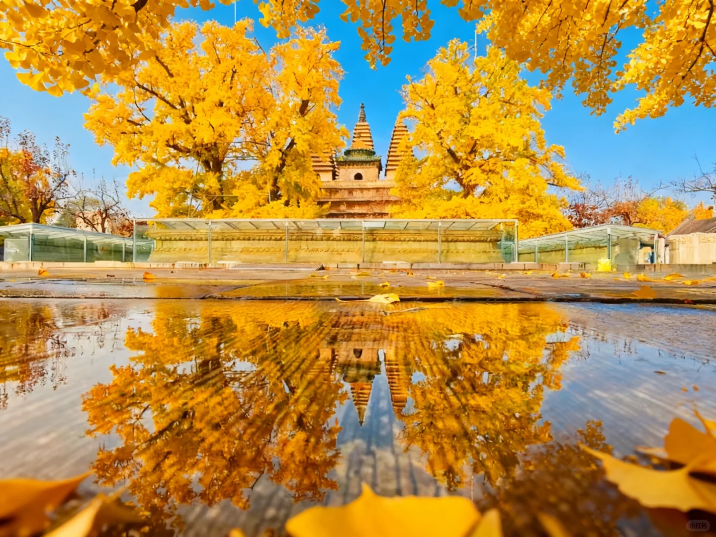 于是我驻足🍂享受无法复刻的瞬间(附攻略