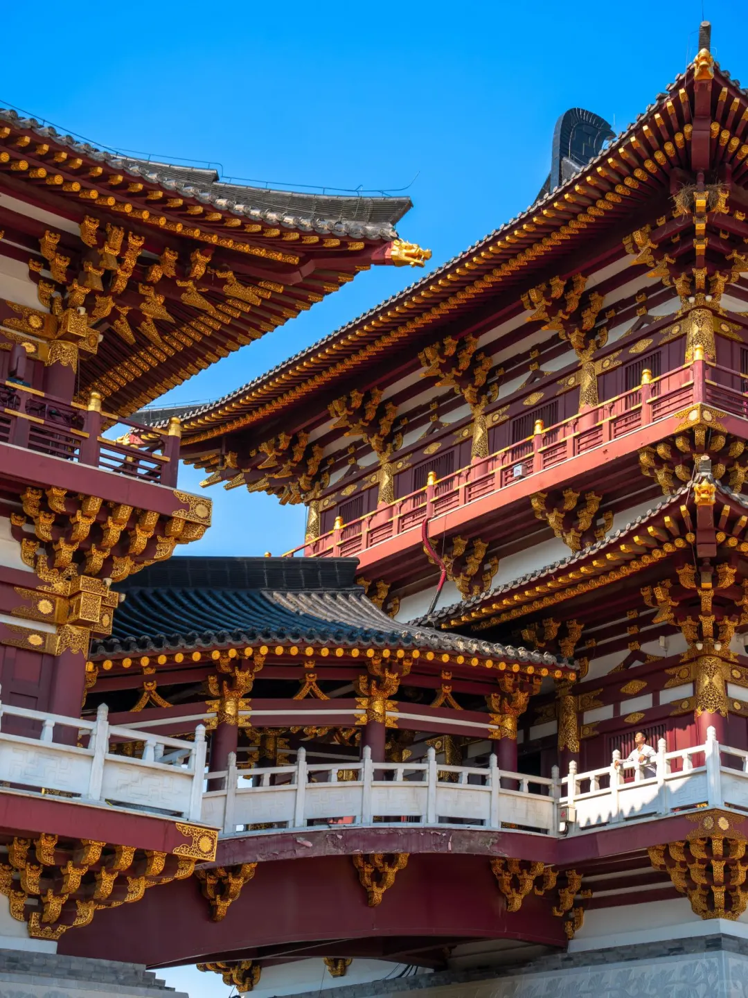 为了这18张照片…我特意飞了一趟洛阳🏯