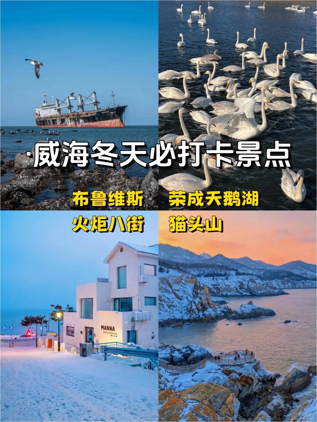 青岛-烟台-威海，冬季旅游攻略一篇就够✨