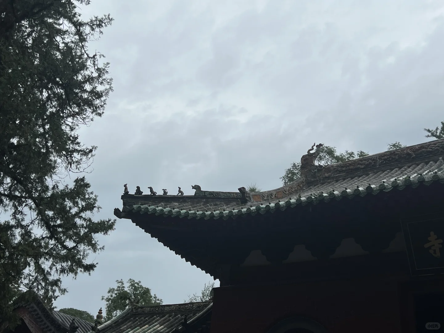 少林寺半日游攻略,不走回头路