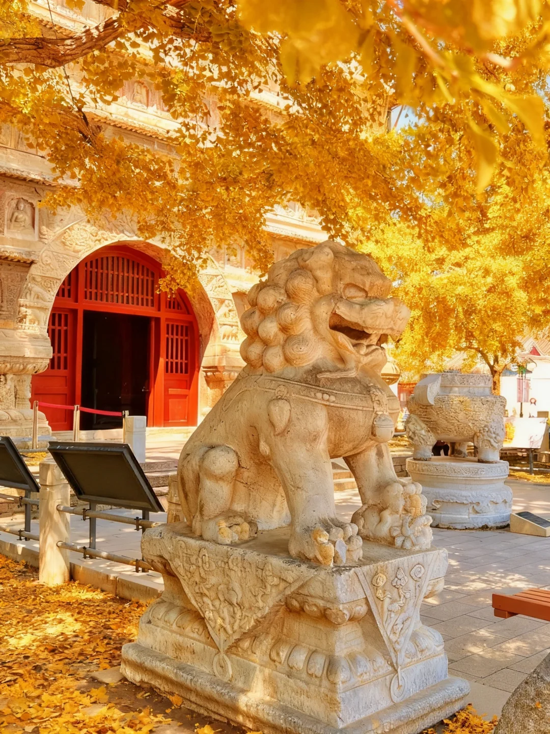 于是我驻足🍂享受无法复刻的瞬间(附攻略