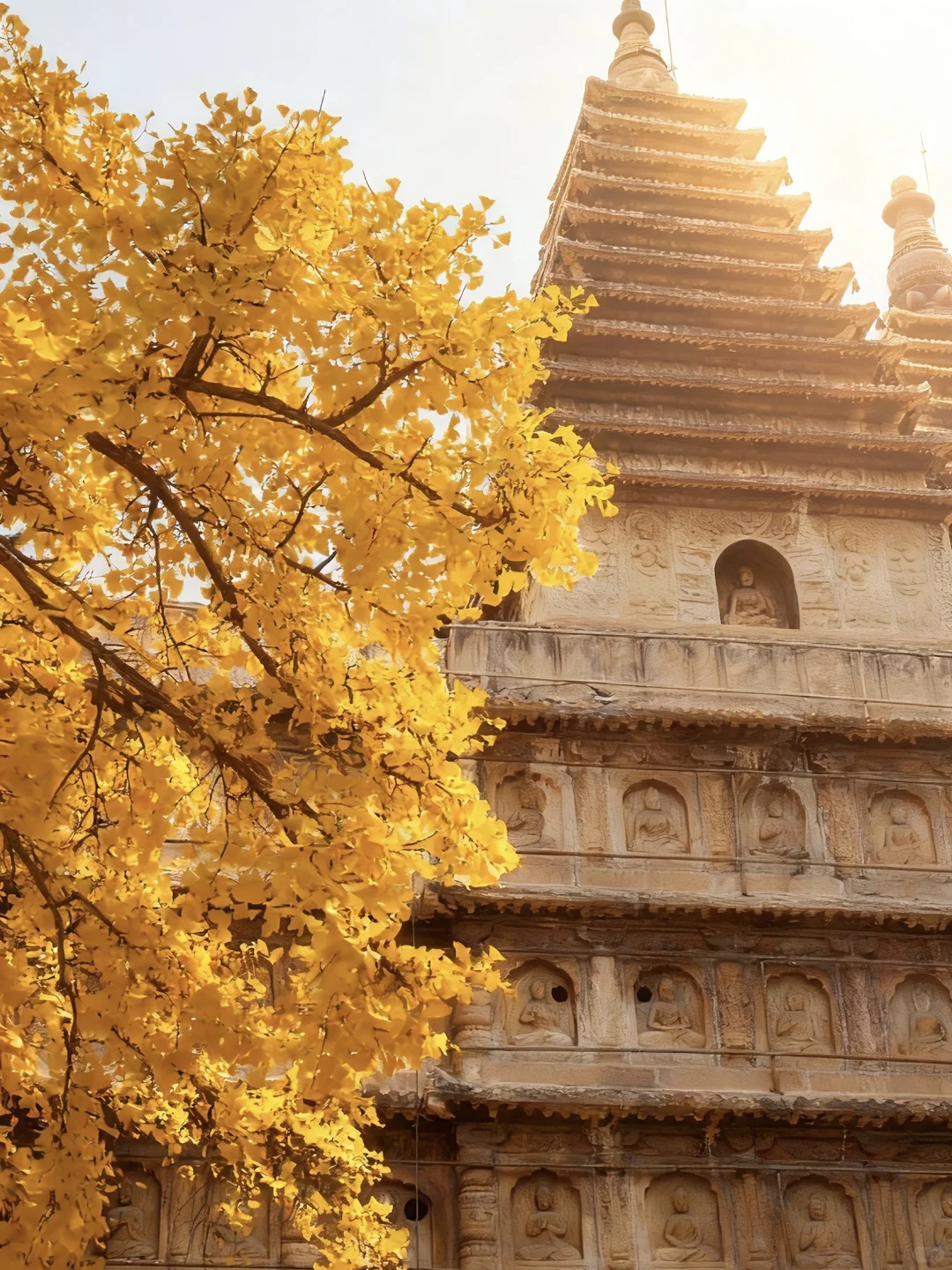 于是我驻足🍂享受无法复刻的瞬间(附攻略