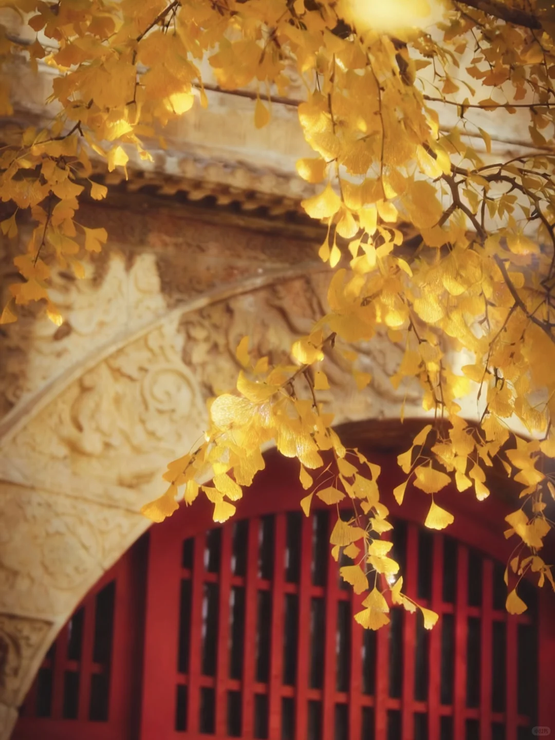 于是我驻足🍂享受无法复刻的瞬间(附攻略