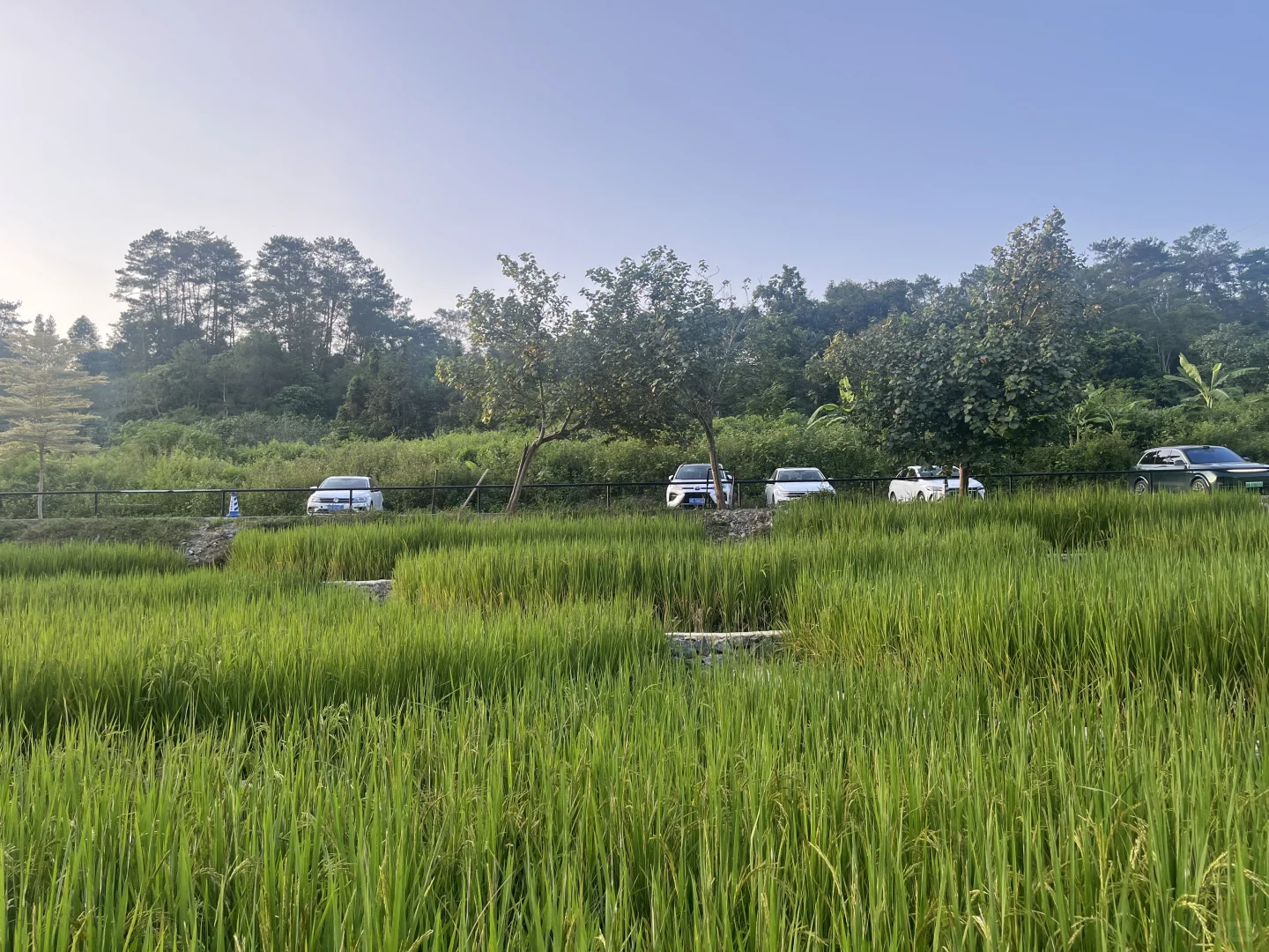 崇左已回,说点大实话‼️