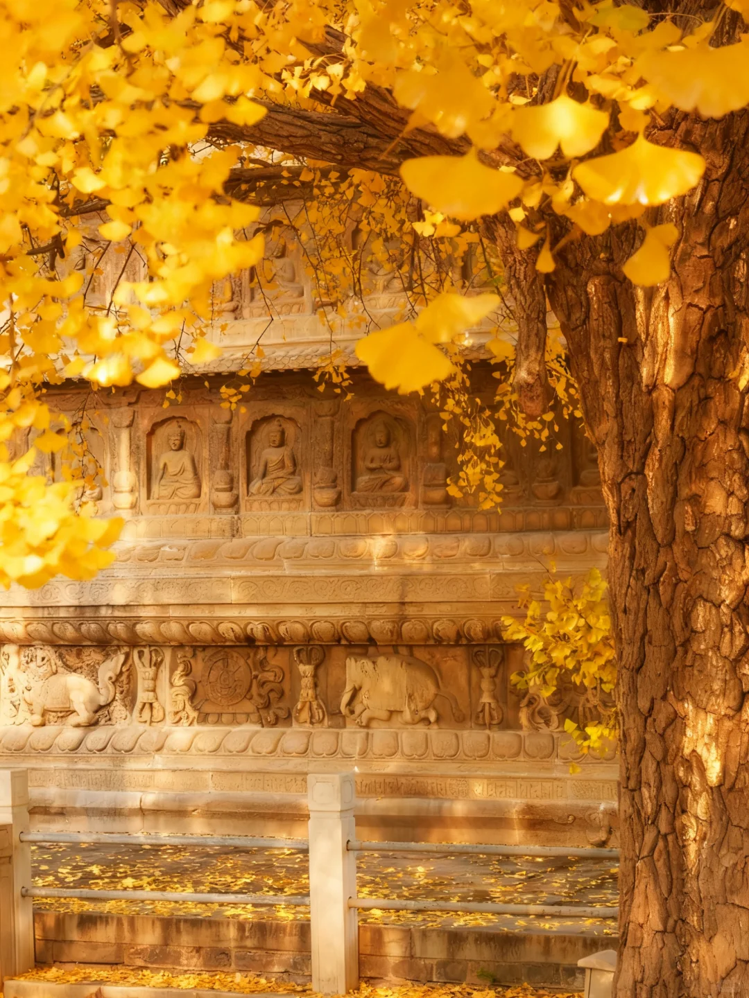 于是我驻足🍂享受无法复刻的瞬间(附攻略