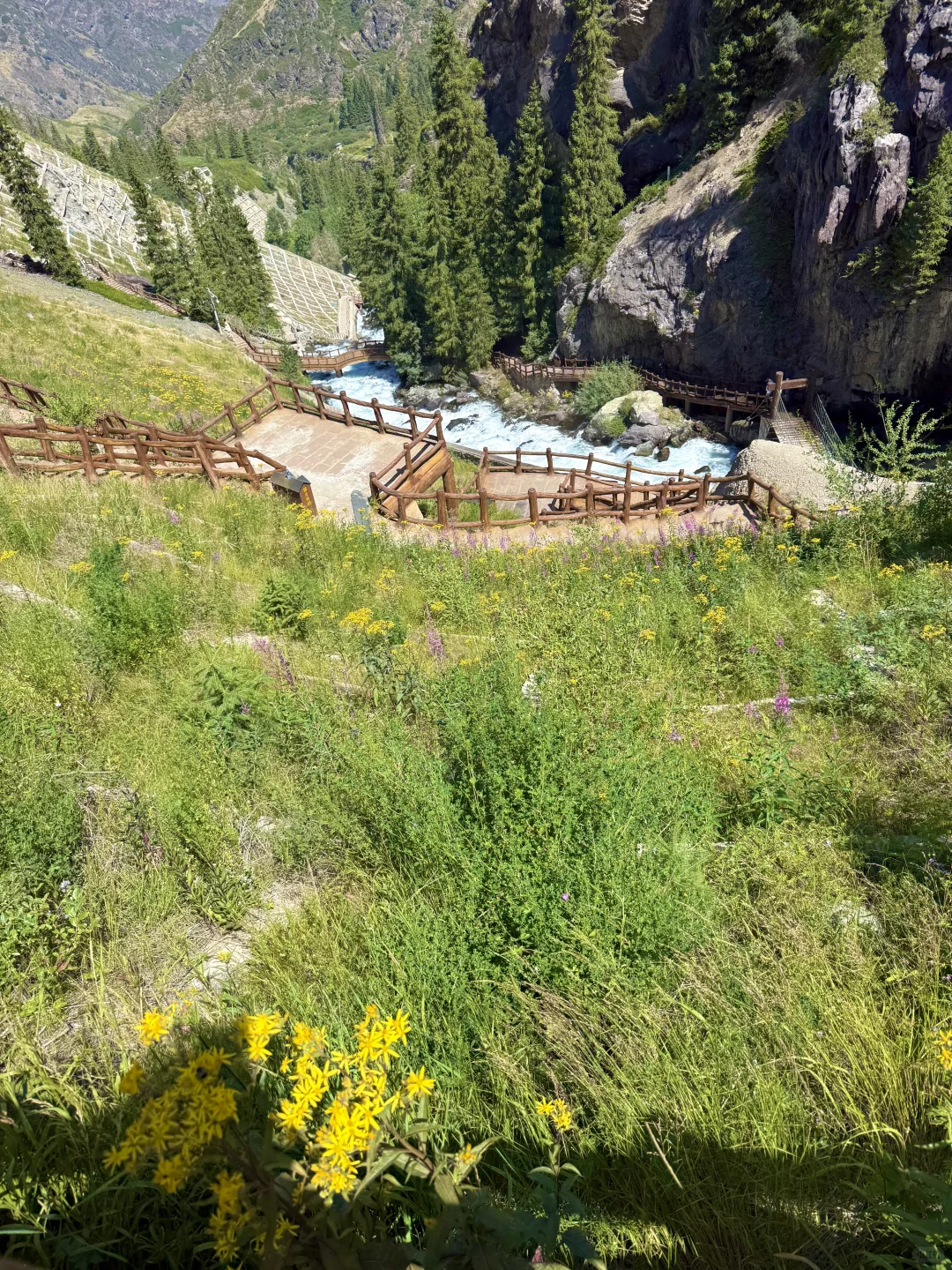 新疆旅行|天山天池懒人版两小时速玩攻略