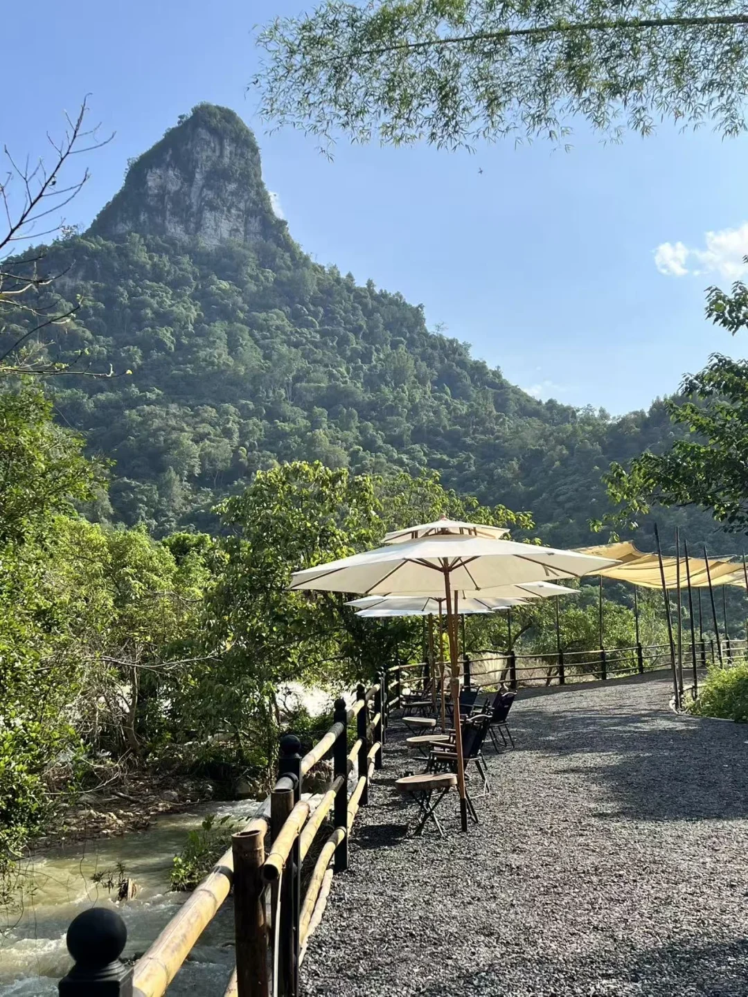 崇左已回,说点大实话‼️